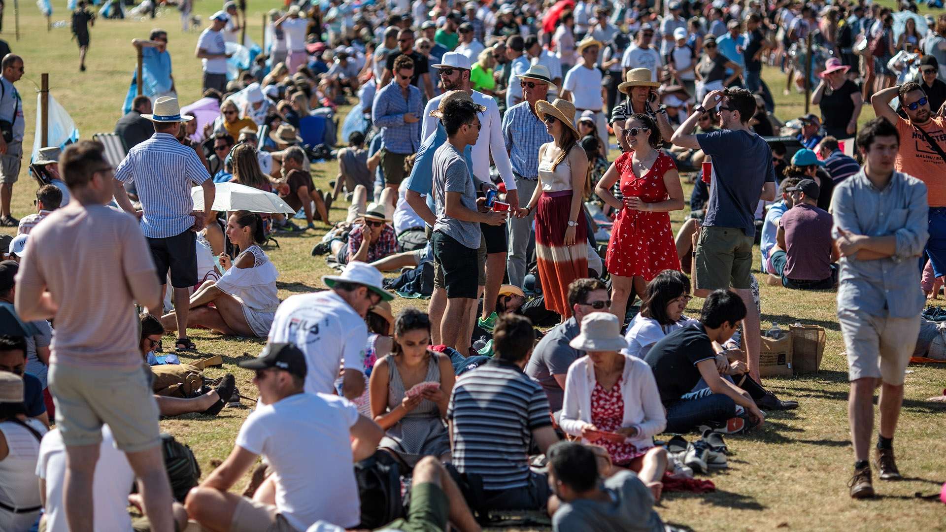 纵观斯卡洛 纵观斯卡洛