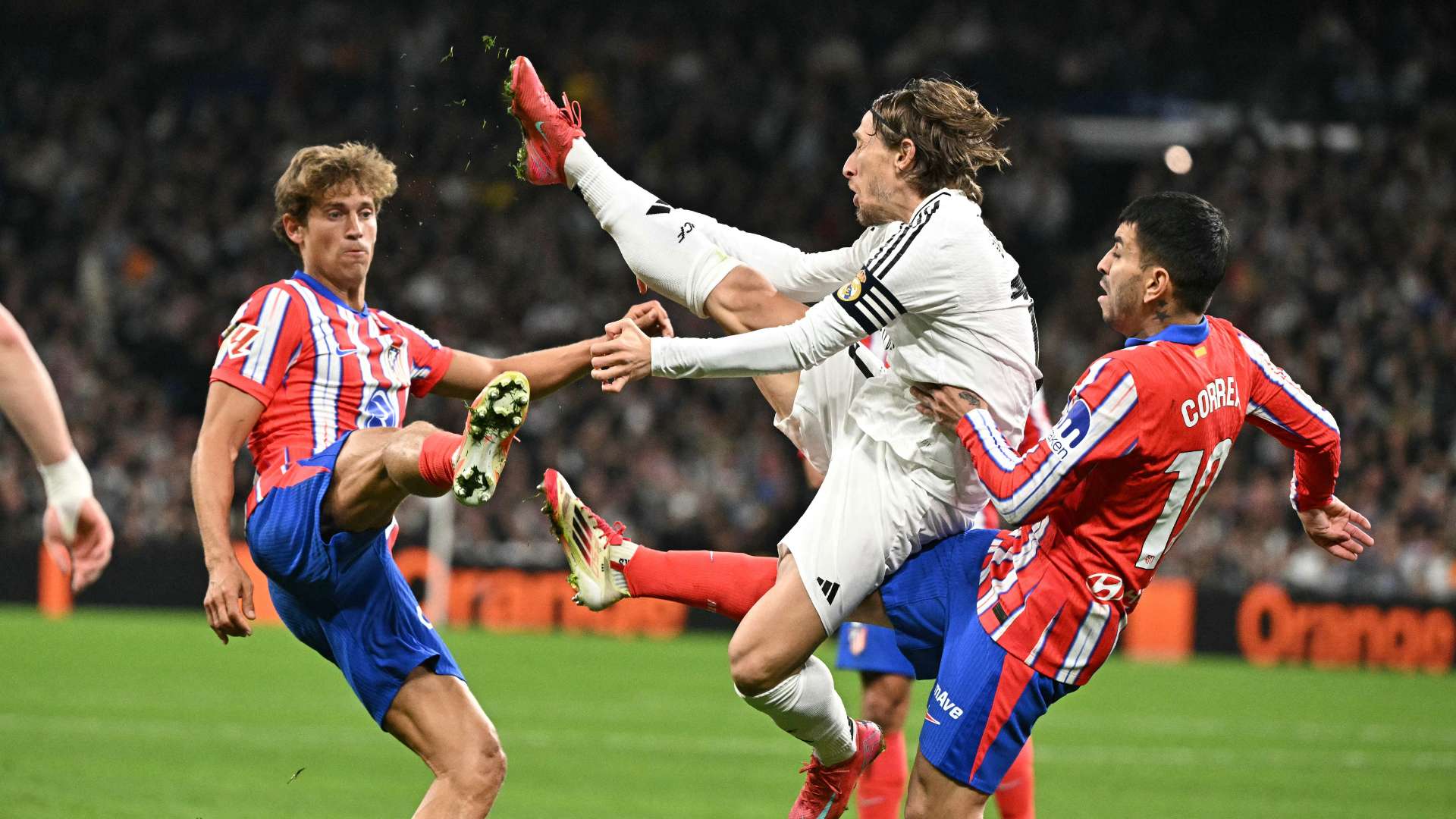 会的影响 会的影响