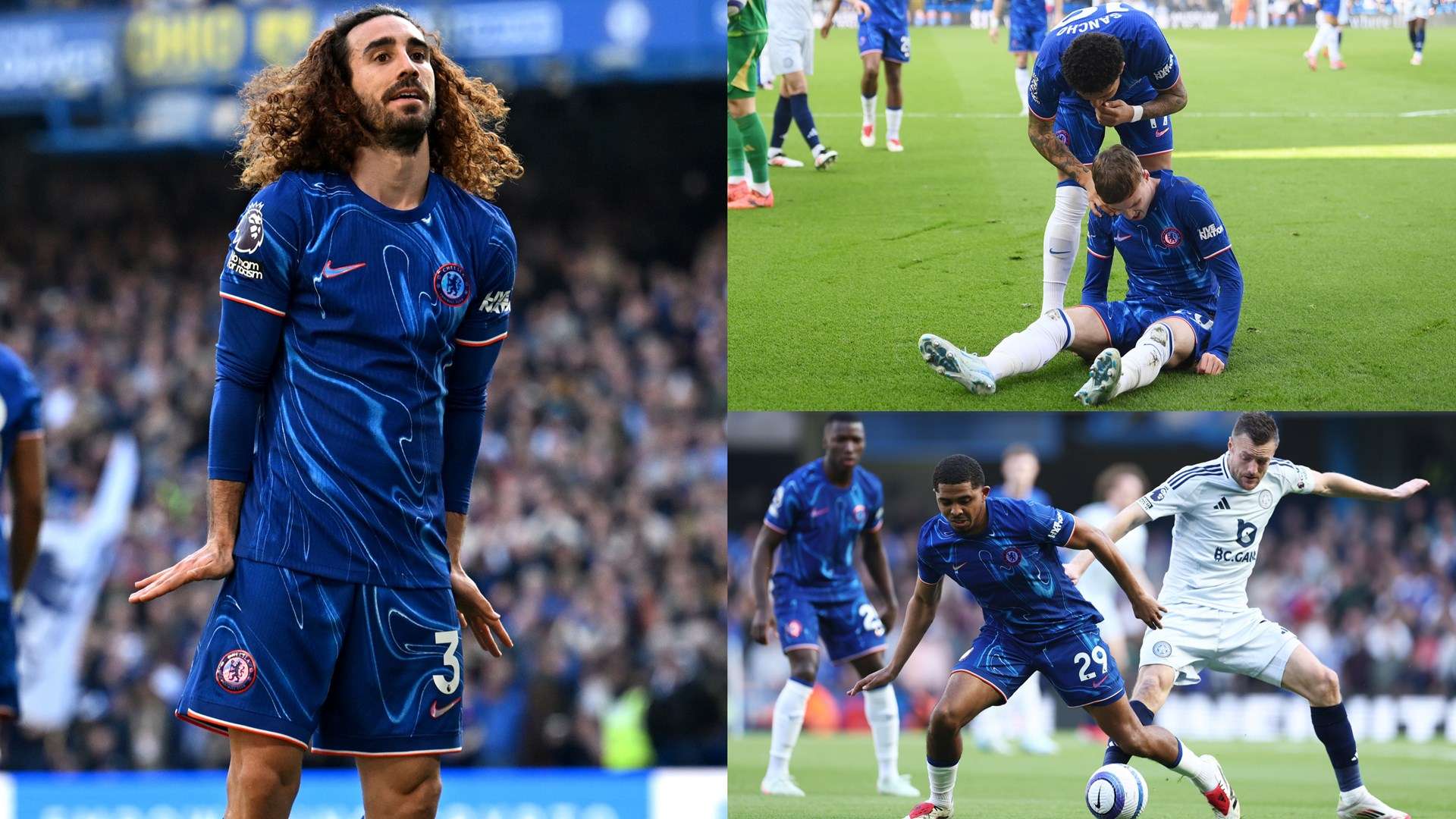 貝茲利回歸 貝茲利回歸